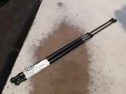 Gasdruckfedern Set Hinten BMW 3 serie Compact (E46/5) Schrägheck 318ti 16V (N42-B20A) 2003