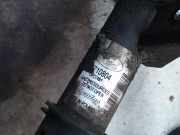 Federbein Rechts Vorne 50710804 Ford Ka II Schrägheck 1.2 (169.A.4000(Euro 4) 2010