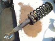 Federbein Vorne Audi A8 (D2) Limousine 4.2 V8 40V Quattro (AQF) 2000