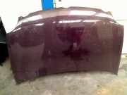 Motorhaube Volkswagen Polo IV (9N1/2/3) Schr?gheck 1.4 16V (BKY) 2005 BKY