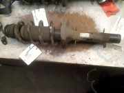 Federbein Vorne 1J0443031B1 Volkswagen Golf IV (1J1) Schrägheck 1.6 (AVU) 2002 AVU