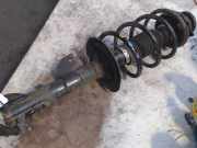 Federbein Links Vorne Fiat Panda (169) Schrägheck 1.2 Fire (188.A.4000) 2009