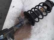 Federbein Links Vorne Fiat Panda (169) Schrägheck 1.2 Fire (188.A.4000) 2006