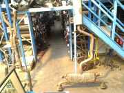 Auspuff 5WA253211D5WA253611S Volkswagen Golf VIII (CD1) Schrägheck 2.0 GTI Clubsport 16V (DNFC) 2022 DNFC