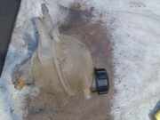Kühlmittelbehälter 9652621280 Peugeot 207/207+ (WA/WC/WM) Schrägheck 1.6 16V VTi (EP6(5FW)) 2007