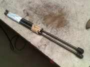 Gasdruckfedern Set Hinten Fiat Idea (350AX) Großraumlimousine 1.4 16V (Euro 5) 2007