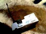 Türschloss Rechts Vorne 8T1AV21812CA Ford Transit Connect Van 1.8 Tddi (BHPA(Euro 3)) 2012