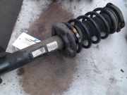 Federbein Vorne 1T0413031HQ Volkswagen Caddy III (2KA,2KH,2CA,2CH) Van 1.9 TDI (BLS) 2010 BLS