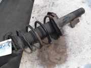 Federbein Links Vorne Ford Focus 2 Schrägheck 1.6 16V (HWDA(Euro 3)) 2008