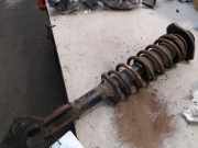 Federbein Links Vorne 4160280G10 Suzuki Ignis (FH) Schrägheck 1.3 16V (M13A) 2002