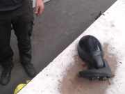 Außenspiegel Rechts Elektrisch Renault Twingo (C06) Schrägheck 3-drs 1.2 (D7F-700) 2002