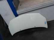 Motorhaube Renault Twingo II (CN) Schrägheck 3-drs 1.2 16V (D4F-764(D4F-E7)) 2012