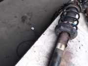 Federbein Vorne Volkswagen Jetta III (1K2) Limousine 2.0 FSI 16V (BVY(Euro 4)) 2007 BVY(Euro 4)