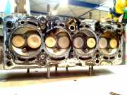 Zylinderkopf 55195018 Ford Ka II Schrägheck 1.2 (169.A.4000(Euro 4; Euro 5)) 2012