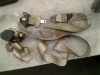 Sicherheitsgurt Links Vorne Peugeot 607 (9D/U) Limousine 3.0 V6 24V (ES9A(XFV)) 2005-09