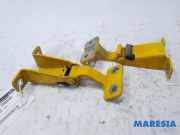 Türscharnier hinten rechts Renault Kangoo II Rapid FW0 904008309R
