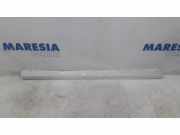 Schwellerleisten Fiat Punto Evo 199 735417446