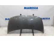 Motorhaube Peugeot 3008 I 7901Q8