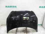 Motorhaube Peugeot 307 CC 7901J0