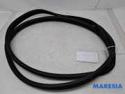 Türgummi rechts vorne Fiat 500 312 51829202