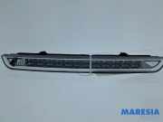 Zusatzbremsleuchte Citroen C4 II Grand Picasso 9688016380