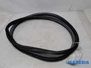 Türgummi links hinten Fiat 500L 351 51905922