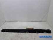 Schwellerleisten Citroen C3 III SX 9813817480