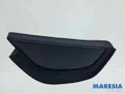Zierleiste Citroen C3 III SX 9813324380