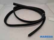 Türgummi links vorne Renault Twingo II CN0 8200638077