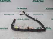 Airbag Dach links Citroen C3 II SC 9802841080