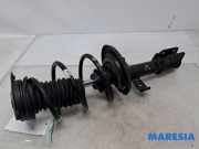 Federbein links vorne Renault Clio Grandtour IV R 543020808R