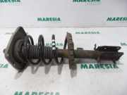 Federbein rechts vorne Peugeot Expert II Kasten VF 5002NX