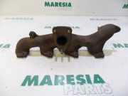 Auspuffkrümmer Peugeot 307 0341E6