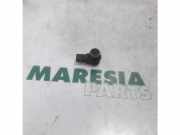 Sensor für Einparkhilfe Citroen C5 III RD 9663821577XT