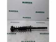 Federbein rechts hinten Renault Twingo I C06 8200192913