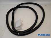 Türgummi links hinten Peugeot 3008 II MC, MR, MJ, M4 9811538180