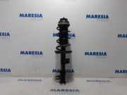 Federbein links vorne Fiat Panda 312, 319 51926519