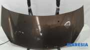 Motorhaube Citroen C3 II SC 7901R1