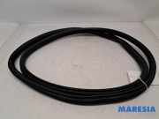 Türgummi rechts vorne Citroen C3 III SX 9813059580