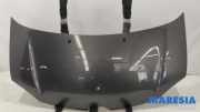 Motorhaube Renault Twingo III BCM 651005742R