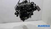 Motor ohne Anbauteile (Benzin) Fiat 500 C 312 71770835