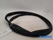 Türgummi links vorne Peugeot 107 9025AL