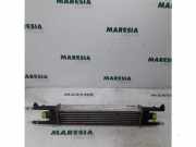 Ladeluftkühler Fiat Punto Evo 199 8A0050000