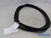 Türgummi links hinten Peugeot 3008 II MC, MR, MJ, M4 9811538180