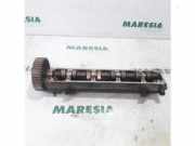 Nockenwelle Citroen Xantia X1 0801CE