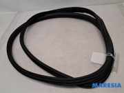 Türgummi links vorne Fiat 500L 351 51905920