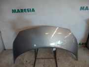 Motorhaube Renault Scenic II JM 7751474289