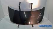 Motorhaube Peugeot 3008 I 7901Q8