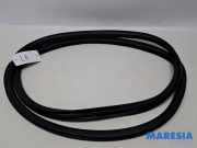 Türgummi rechts hinten Citroen C4 II Grand Picasso 9677276780