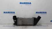 Ladeluftkühler Fiat Scudo Kasten 270 1440094280